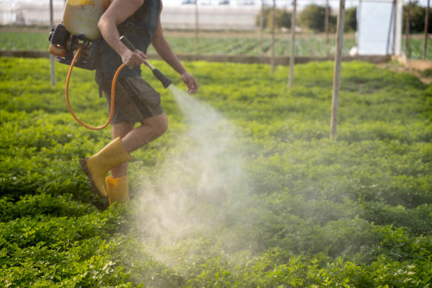 Best Rat Extermination Near Me  in Alturas, CA