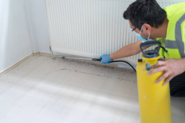 Best Pest Control Near Me  in Alturas, CA